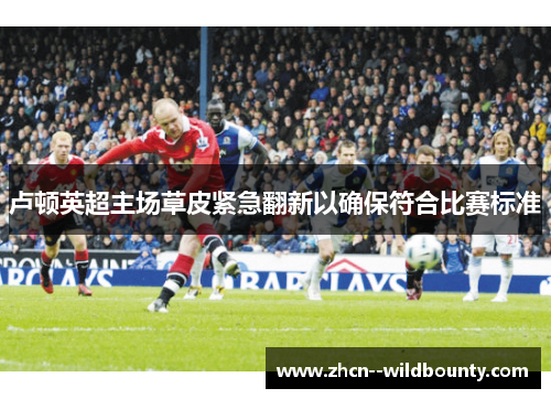 卢顿英超主场草皮紧急翻新以确保符合比赛标准