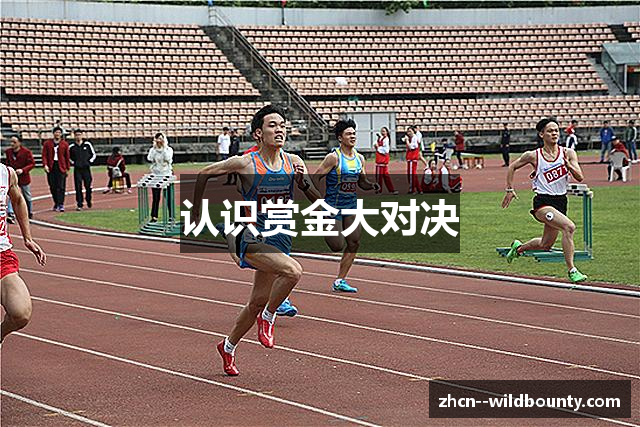 认识赏金大对决